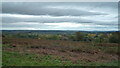 View from Bircher Common