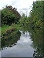 Stourbridge Canal west of Brierley Hill, Dudley