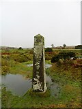 SX2571 : Old Boundary Marker 50 metres north of the Pipers by P G Moore
