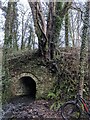 Afon Conwy exiting from under the old bridge