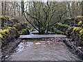 Afon Conwy Weirs after A55 tunnel