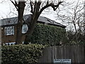 View of a house with ivy growing on it from Roding Lane South