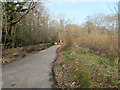 Path from Grattons Park, Pound Hill to Forge Wood, Crawley