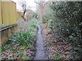 Bridleway to Titchfield Common