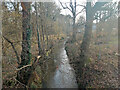 Gatwick Stream, Forge Wood, Crawley