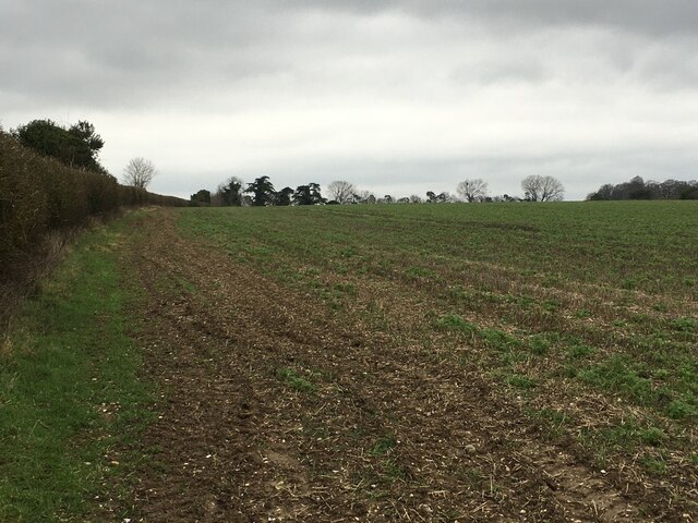 Margins of Scrapps Hill Field (59.5 acres)