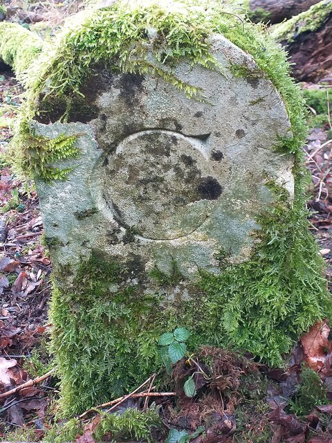Old Boundary Marker inside the northern boundary of College Wood