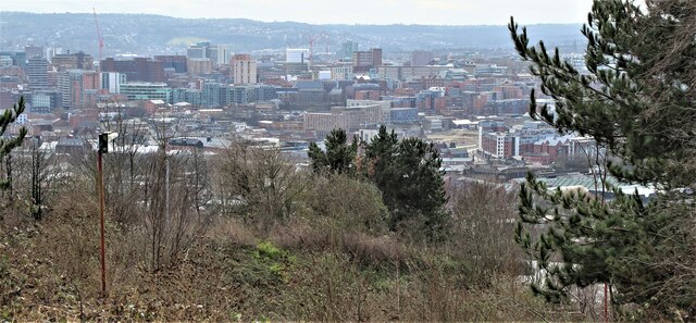 Sheffield from Parkwood Springs