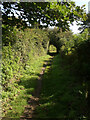 Footpath to Wig Fach, Newton Burrows