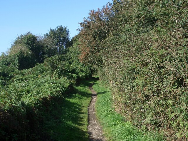 Footpath from Wig Fach, Newton Burrows