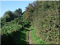 Footpath from Wig Fach, Newton Burrows