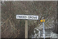 Tweed Grove, Hull