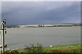 Three wood pigeons perched on a wire at Montrose Basin