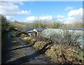 Farm buildings near Watergate