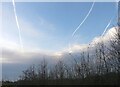 Contrails above Alder School