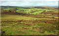 Hedge Barton from Chinkwell Tor