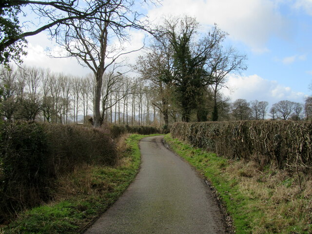Lane south of Dovaston