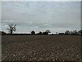 Stubble field viewed south towards Copy Green