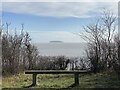 Bench with a view