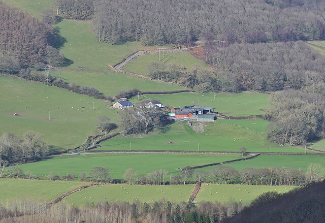 Rheidol valley: Tycam farm