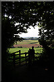ST4771 : The view south, from the entrance to Towerhouse Wood by Clive Perrin