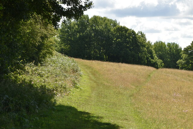 Footpath by meadow