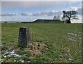 Triangulation pillar at Shatterford