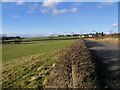 Fields south of Carmunnock