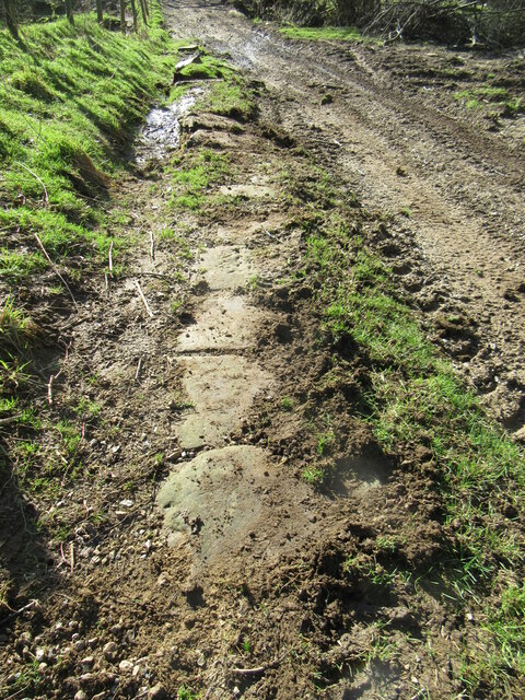 Stone trod near Underhill Farm 2 © T Eyre :: Geograph Britain and Ireland