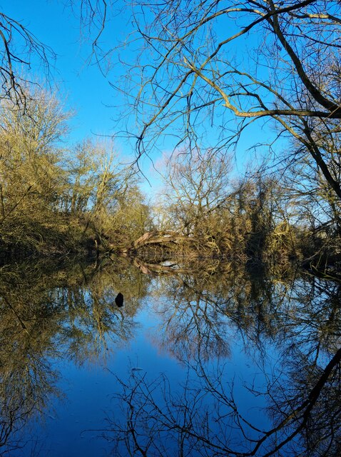 Pond near Holwell Bury Farmhouse