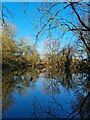 Pond near Holwell Bury Farmhouse