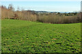 SX8864 : Open grass area, Conqueror Wood by Derek Harper