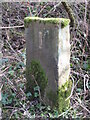 Old Boundary Marker on Waldridge Fell