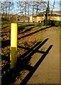 Path towards offices, Llantarnam, Cwmbran