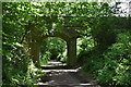 Bridge over Forest Way