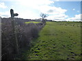 On part of the Shropshire Way