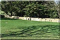 Former cemetery next to Chapel Farm