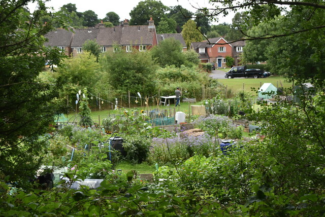 Allotments