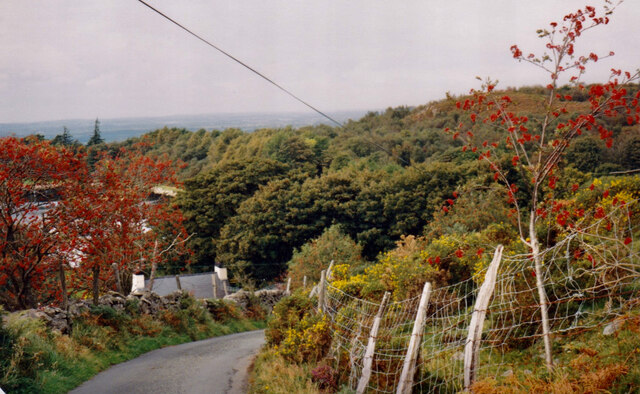 Hill above Lakeside Cottage, Bryn Bras