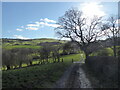 Track and footpath near Cothercott