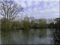 SU6190 : The River Thames by Preston Crowmarsh by Steve Daniels