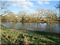 Anglers across the river