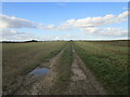 Farm track and footpath to Beckingham