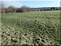 Ridge and furrow, Alverthorpe Meadows