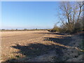 Fields behind houses on Wendover Road, Weston Turville