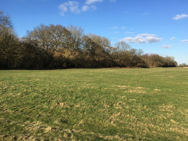 Large clearing within South Wood © Mr Ignavy :: Geograph Britain and ...