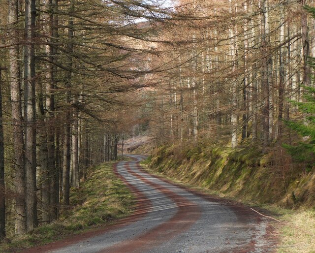 Forest road on Plora Craig