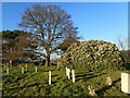 War graves in Woolwich New Cemetery