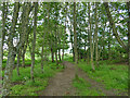 Path south-east from Lily Loch car park