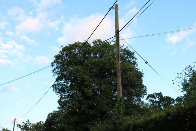 Complex telephone cables on Fisher Lane
